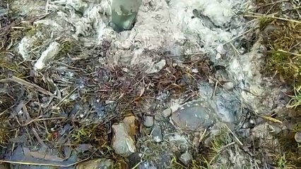 মেয়েটি কাঁদার মধ্যে আতকেয় গিয়ে কি করলো