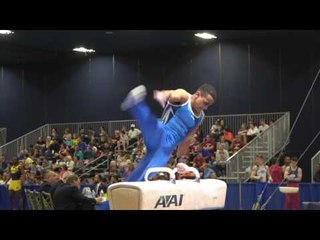 Trevor Howard - Pommel Horse - 2017 Winter Cup Prelims