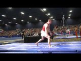 Hunter Justus - Vault - 2017 Winter Cup Finals