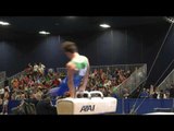 Eddie Penev - Pommel Horse - 2017 Winter Cup Finals