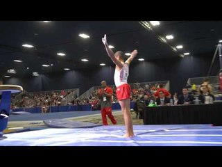 Julian Brutchin-Roose - Vault - 2017 Winter Cup Prelims