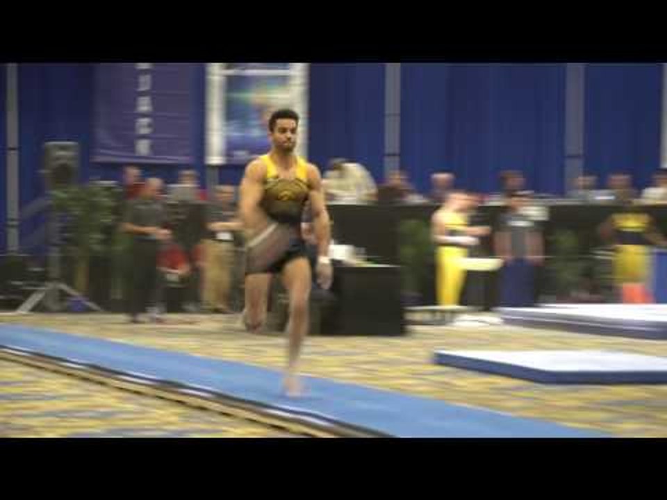 Andrew Botto - Vault - 2017 Winter Cup Finals