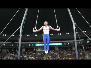 Oleg Verniaiev (UKR) - Still Rings - 2017 AT&T American Cup