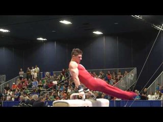 Hunter Justus - Pommel Horse - 2017 Winter Cup Finals