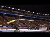 Anthony McCallum - Parallel Bars - 2017 P&G Championships - Senior Men - Day 1