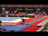 Joshua Davis - Vault - 2017 P&G Championships Junior Men Day 1