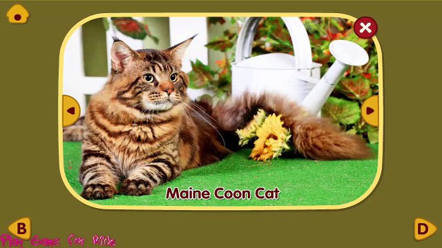 ABC Zoo: Animated Flash Cards - Learn Alphabets ABC from A to Z for Kids