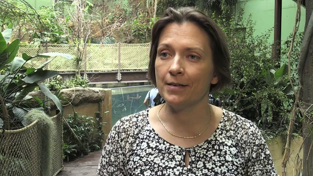 Lausanne aquarium offers visitors 'freshwater odyssey'