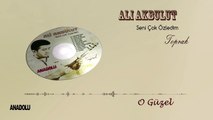 Ali Akbulut - O Güzel