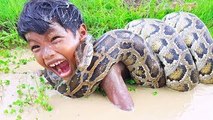OMG! Brave Little Brothers Catch Extremely Big Snake While Fishing