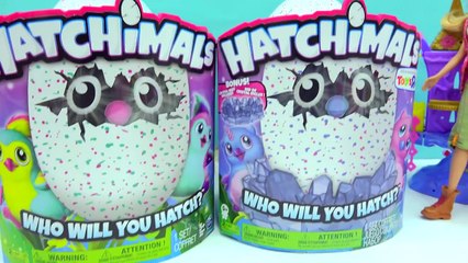 Hatchimals Baby Giant Interive Eggs that Hatch + Surprise Blind Bag Egg with Barbie
