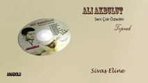 Ali Akbulut - Sivas Eline