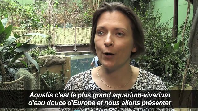 Suisse:le plus grand aquarium-vivarium d'Europe ouvre à Lausanne