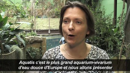 Suisse:le plus grand aquarium-vivarium d'Europe ouvre à Lausanne
