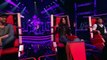 Justin Bieber - What do you mean (Wilson)  The Voice Kids 2016  Blind Auditions  SAT.1