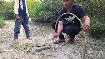 Amazing Quick Bird Trap - Best Bird Trap (100% Work) - How To Make Easy Bird Trap In Jungle