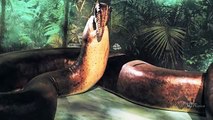 BIGGEST Snake EVER (195 Ft.) Analyzed & Confirmed