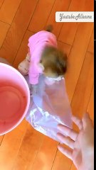 Pocket monkey Huahua - New funny and cute animal video