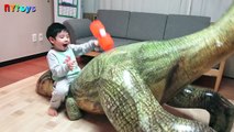공룡알 훔쳐 먹은 티라노사우루스를 물리쳐라! 공룡 서프라이즈 에그 알까기 놀이 뉴욕이랑놀자 NY Toys
