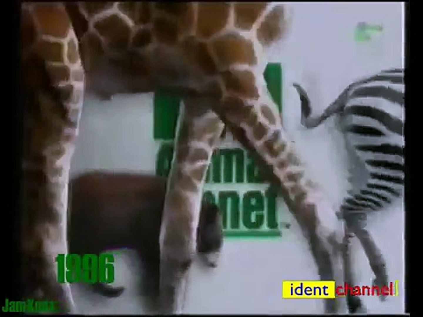 Animal Planet 1996 - 2008--EPDieqZwr0 - Video Dailymotion