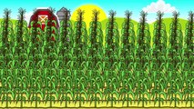 ☻ Rolnik | Farmer Works - Maize | Bajki Traktory ☻