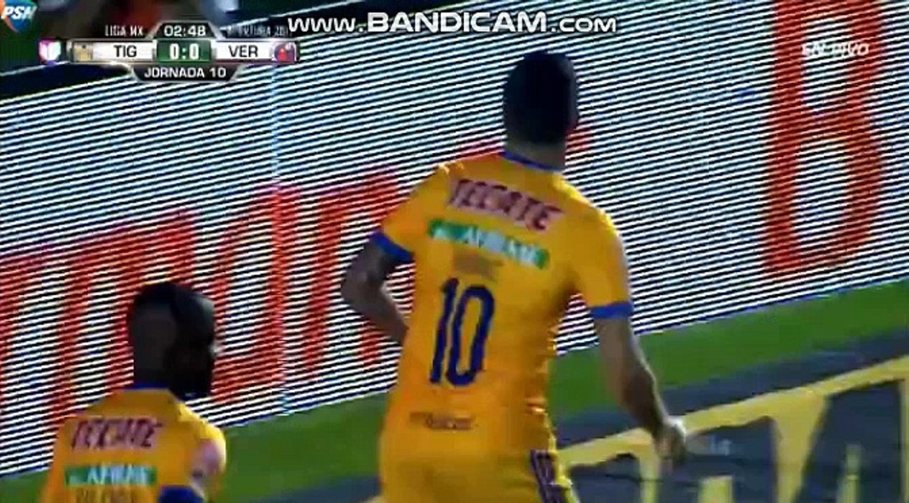 Andre-Pierre Gignac Goal ~ UANL Tigres vs Veracruz 1-0