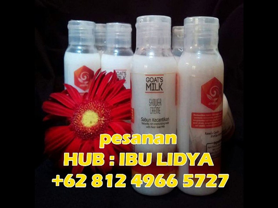 HUB: +62 812 4966 5727 (TELKOMSEL), Sabun Susu Kambing Asli, Agen Sabun Susu Kambing, Distributor Sabun Susu Kambing