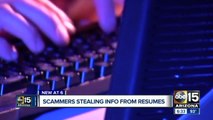 Fraudsters stealing info from resumes