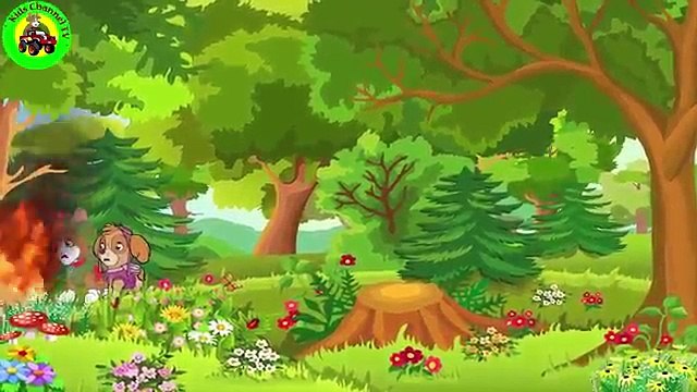 Paw Patrol Full Episodes 2017 - Pups Save Cartoon Nickelodeon - Animation Movies for Children # 7