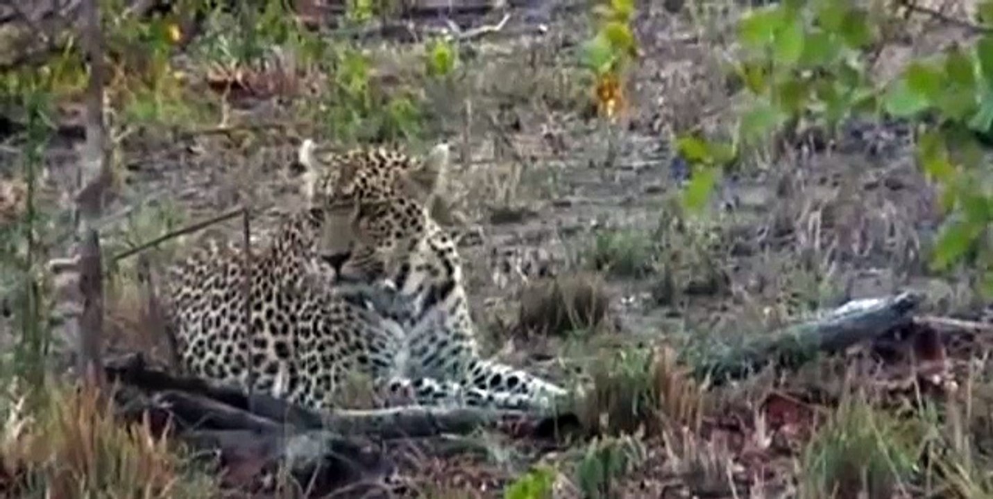 Dec 06, 2015- Karula's FAMOUS Spit Bubble-TAtXEIsbY-4