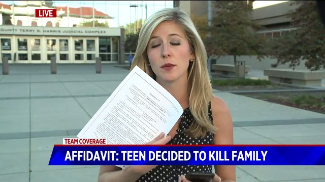 Teen Accused of Stabbing Younger Siblings Told Police he Wanted Home to Himself