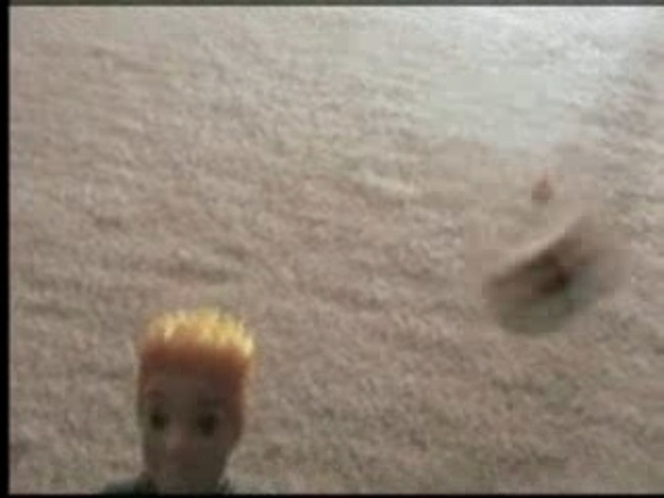 Petit Colorado 2007 - Dionysos