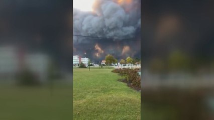 포르투갈 산불로 41명 사망...16명 중태 / YTN