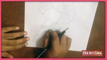 Hibiscus Flower Drawing - How to Draw Hibiscus Flower - Easy Flower Drawing for Children