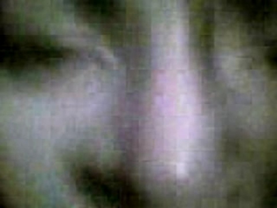 SV_A0029
