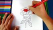 Como dibujar una rosa paso a paso | How to draw a rose - 1/10