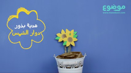 هدية بذور دوار الشمس