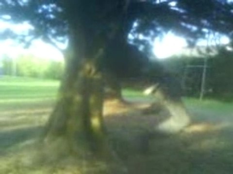 tractions facile con