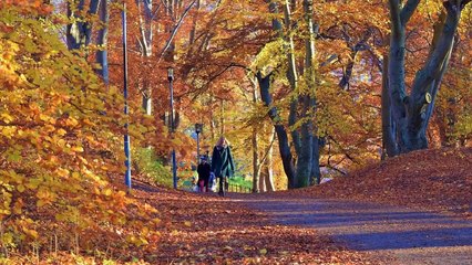 10 Best Places to Visit in Sweden - Sweden Travel Guide-LUJ9su0AtNg