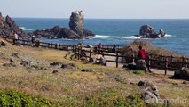 Seopjikoji, Jeju Island Vacation Travel Guide _ Expedia-jikzcbPJBN4