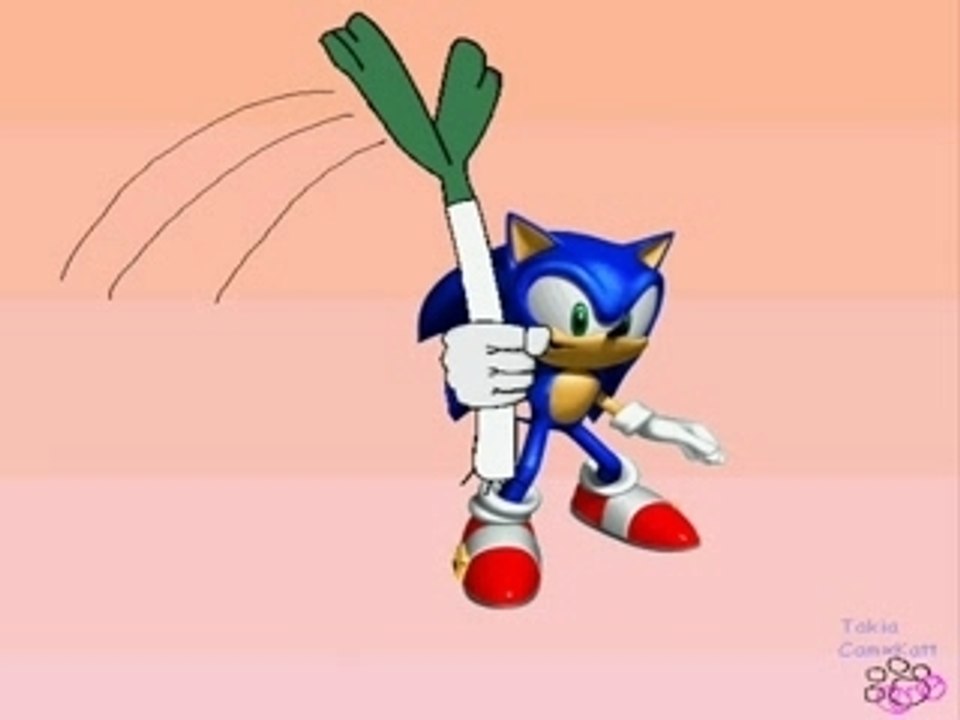 Loituma...SONIC\*o*/the poireau XD