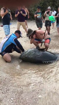 Il peche un énorme mérou géant... Quel poisson!!!!