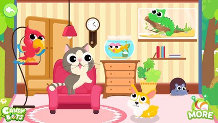 Candybots Animals - Animal in House (Cat, Dog, Mouse, Fish) - Apps for Kids