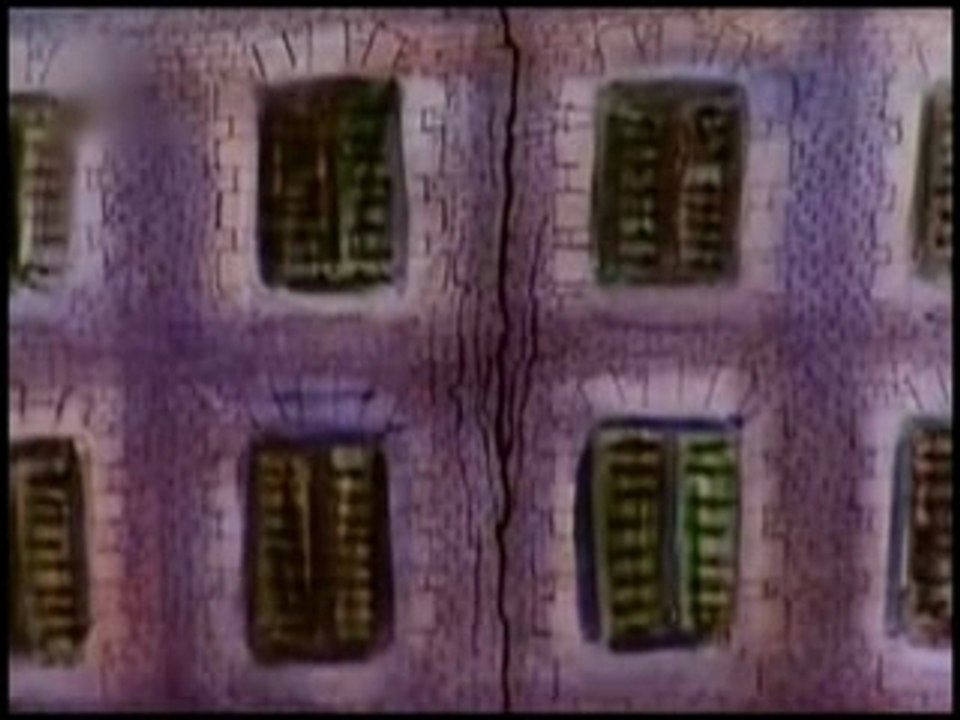 Sagopa Kajmer - Baytar