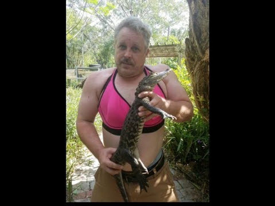 'The Gator Crusader' Wears a Pink Bra to Support Breast Cancer Awareness