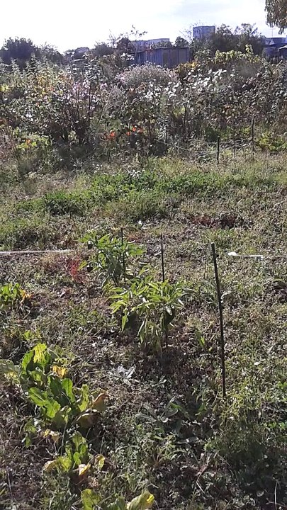 Chemtrails Angers - 13 octobre 2017 - 14h53