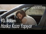 Harika kaza yapıyor - Kırgın Çiçekler 93. Bölüm