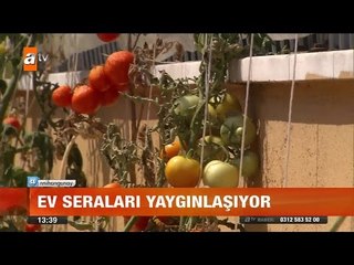 Kendin yetiştir, kendin ye - atv Gün Ortası Bülteni