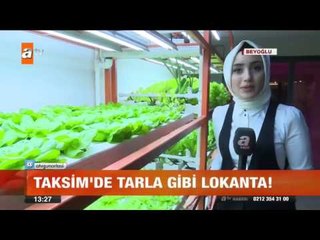 Taksim'de tarla gibi lokanta - atv Gün Ortası Bülteni