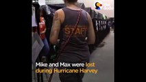 Une petite fille retrouve ses chiens perdus pendant l'ouragan Harvey
